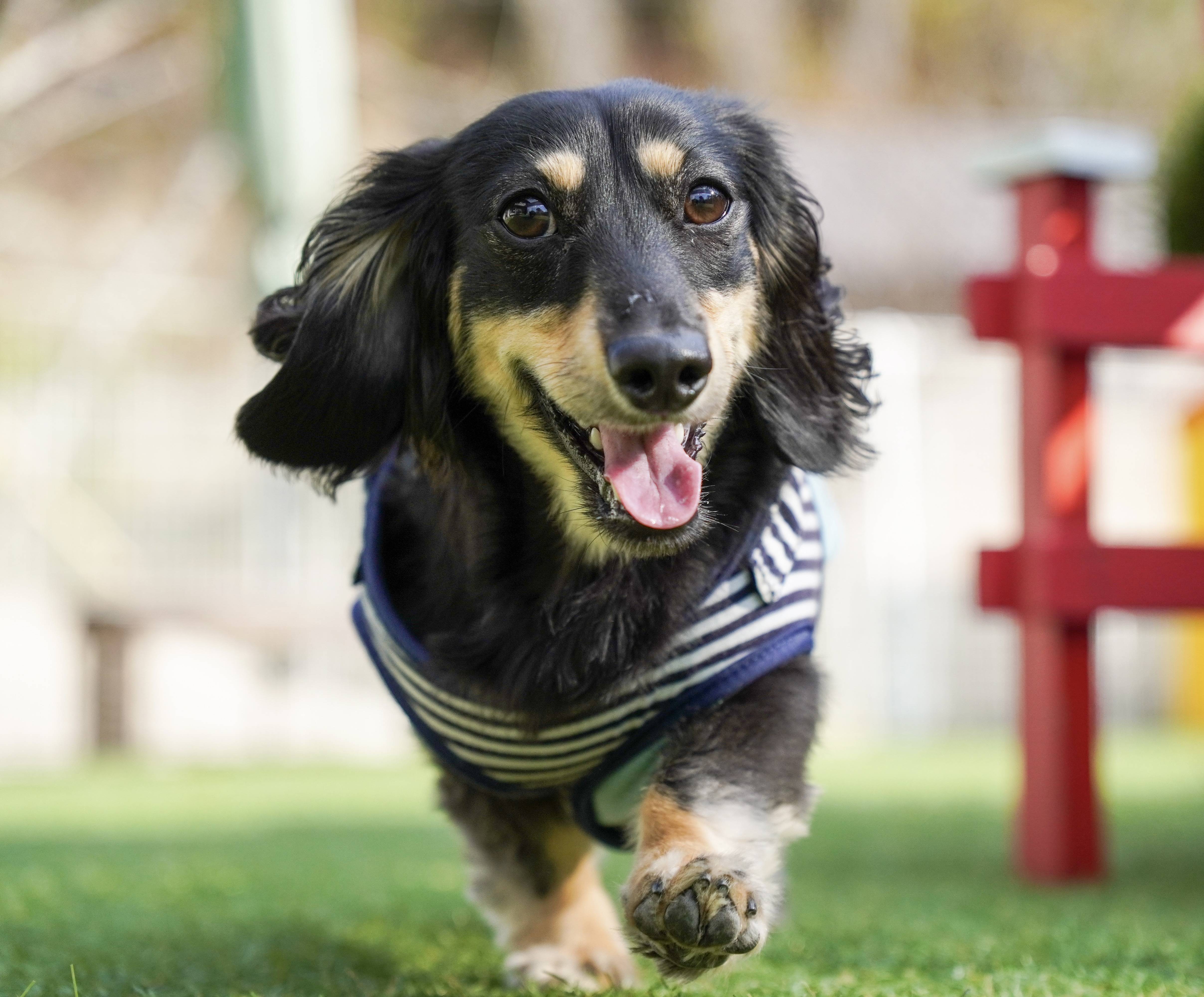 無邪気なこたろうくん